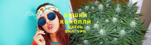 стафф Вяземский