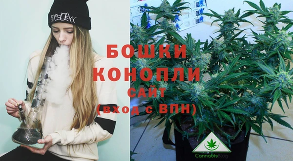 спиды Вязьма