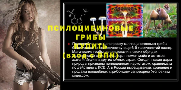 мдпв Вязники