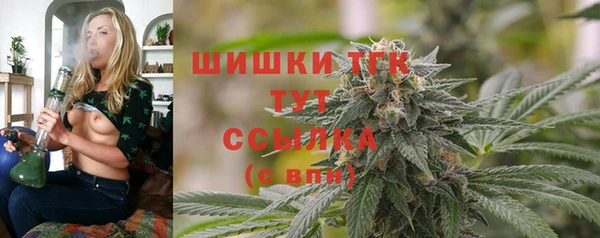 спиды Вязьма