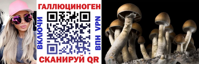 Купить закладки Коряжма Псилоцибиновые грибы Psilocybine cubensis